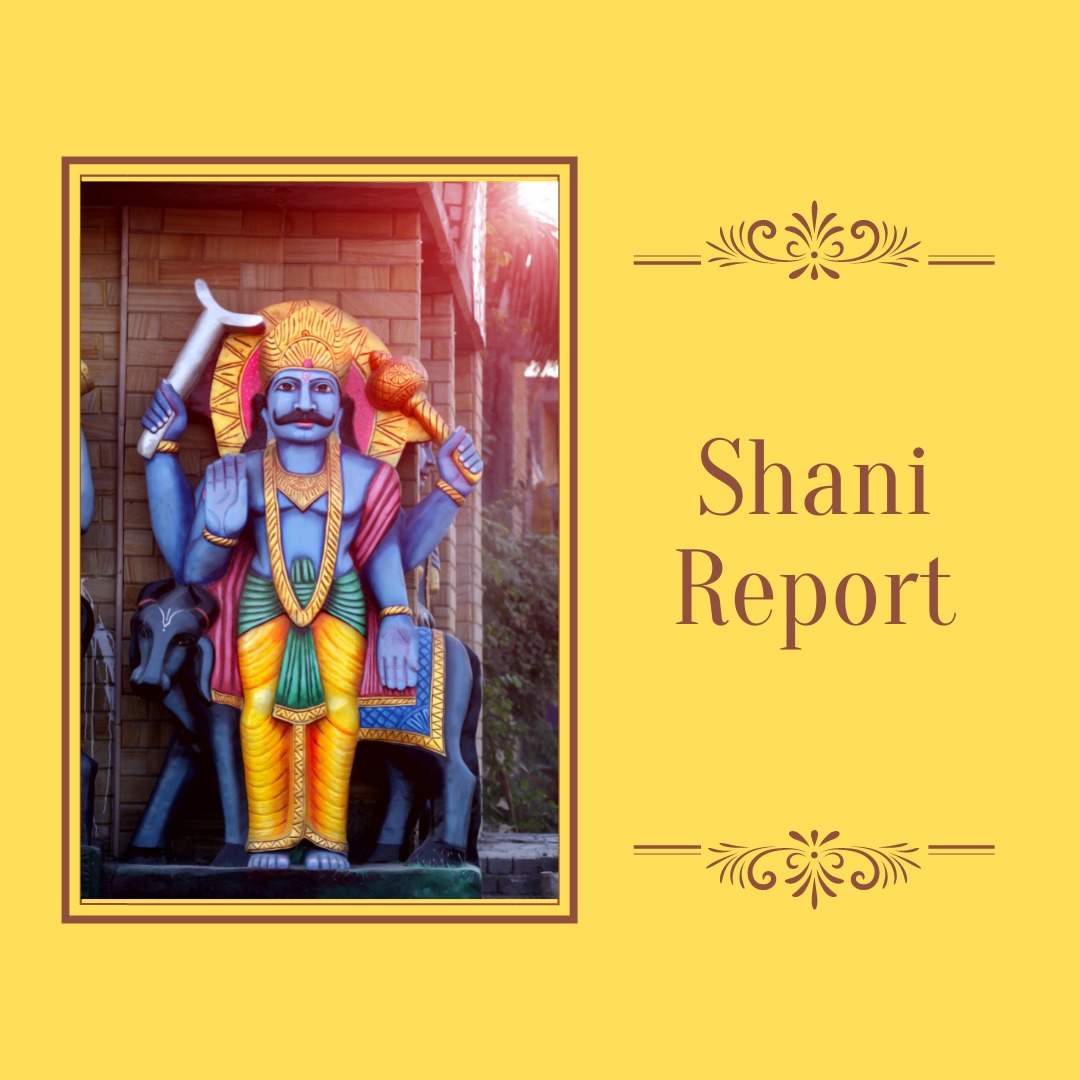 Shani Manual Report